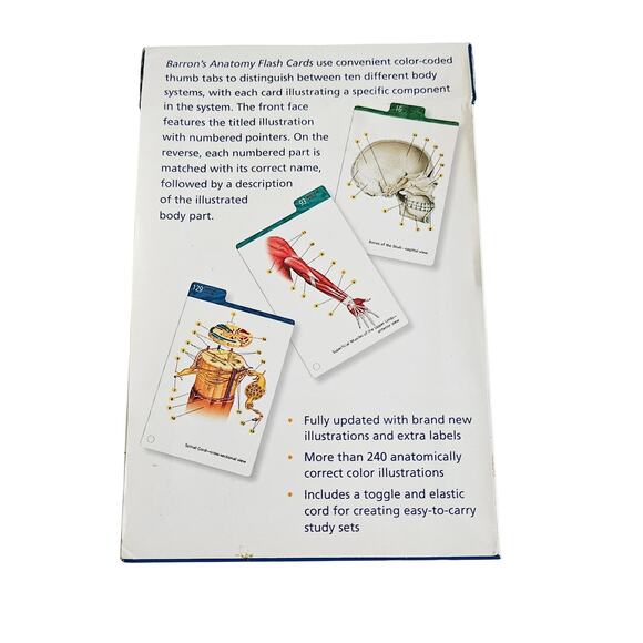 Barron's Human Anatomy Flash Cards 2nd Edition Nursing Medical Biology Study - Picture 3 of 6